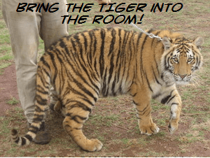 Bring the Tiger into the Room